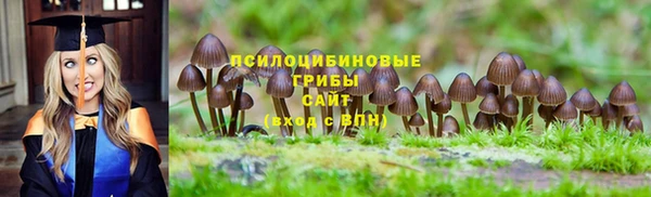 прущие грибы Арсеньев