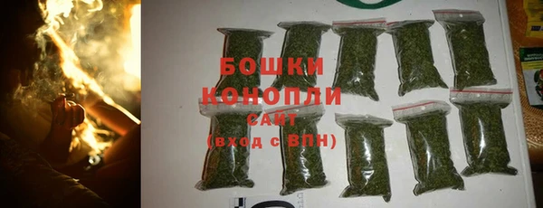 прущие грибы Арсеньев