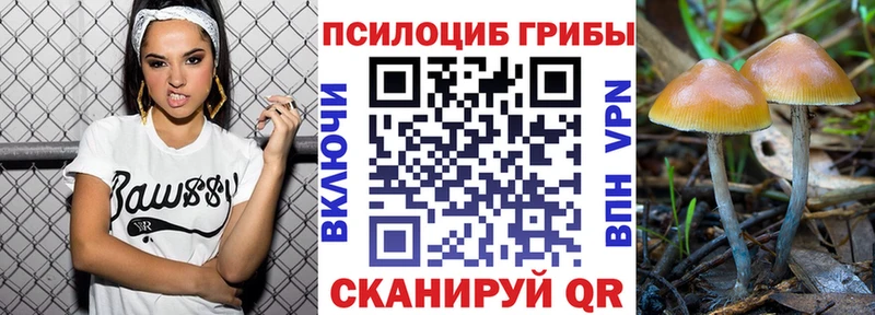 Псилоцибиновые грибы Psilocybe ссылка на мегу ТОР Гремячинск хочу наркоту